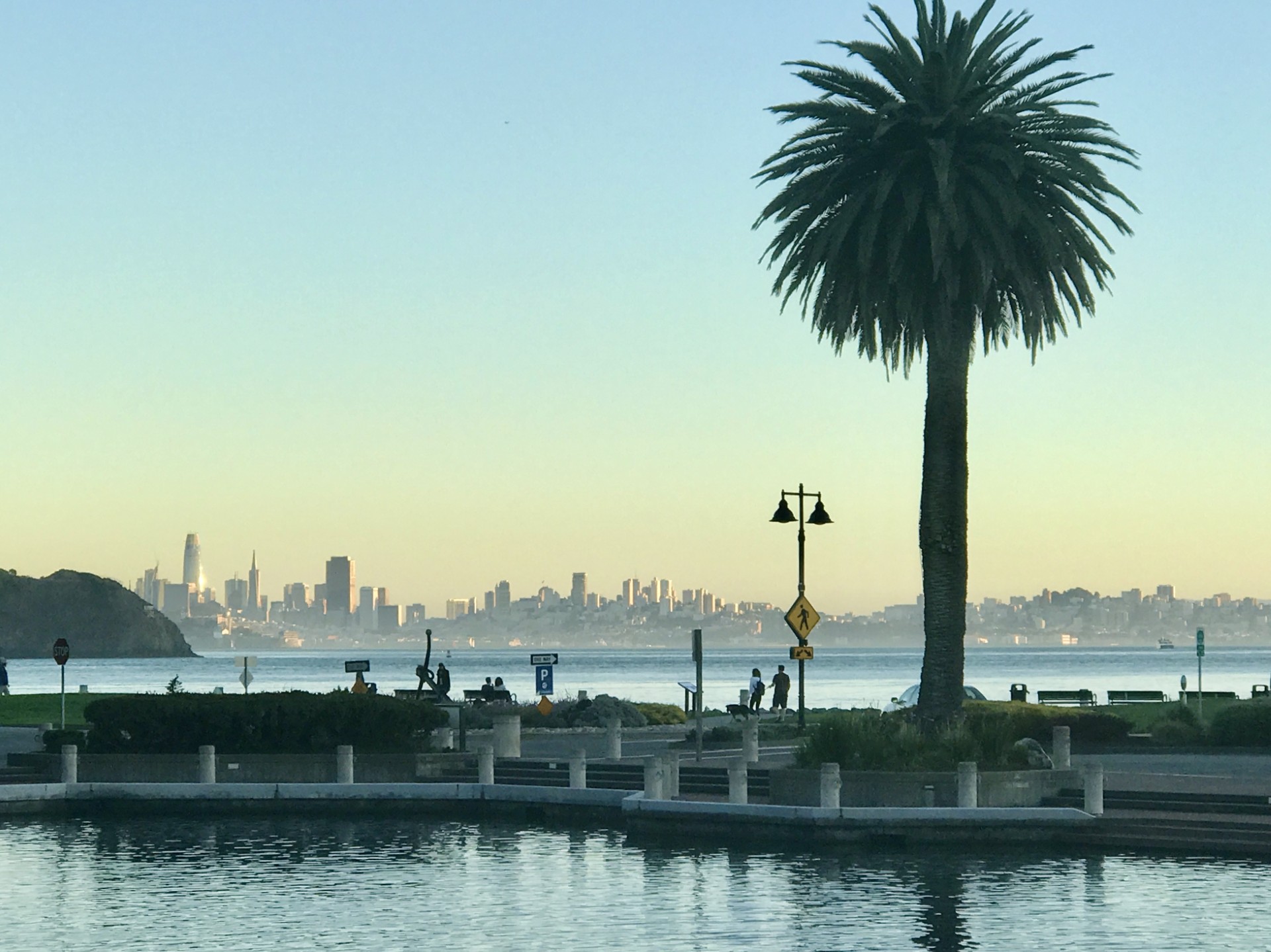 Tiburon