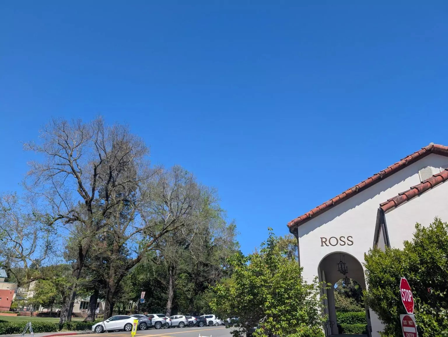 Ross-placeholderONLY